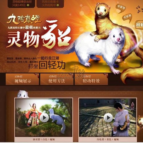 九阴真经宠物怎么获得