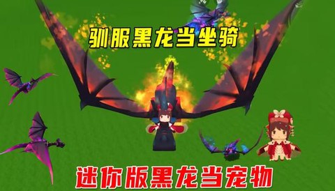 迷你世界怎么驯黑龙[图2]