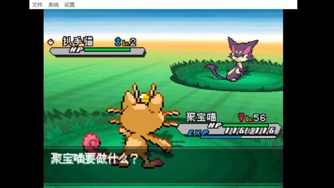 宝可梦怎么野外对战[图1]