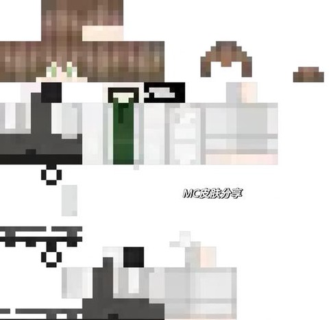 我的世界怎么解锁皮肤[图2]