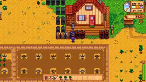 星露谷物语大黄是什么[图2]