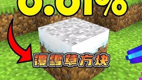 我的世界雪块有什么用