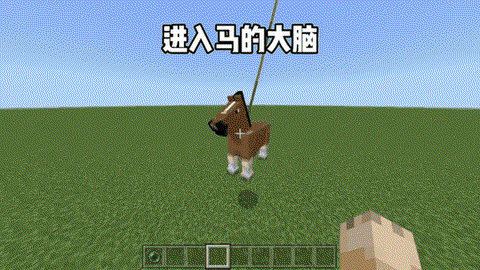 我的世界怎么给马喂食[图2]