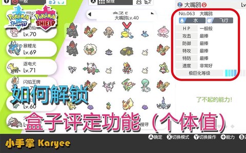 宝可梦怎么查看资质[图2]