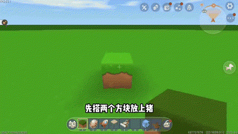 怎么喂迷你世界的猪