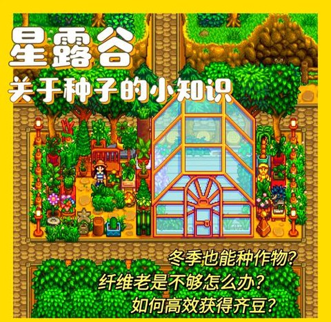 星露谷物语秋天种什么[图2]