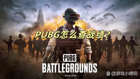 绝地求生怎么提出队友[图2]