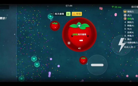 球球大作战如何屏蔽[图2]