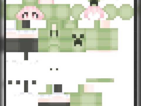 我的世界怎么装皮肤[图2]