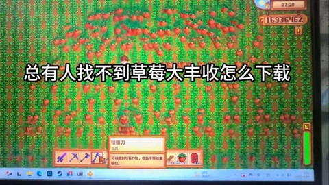 星露谷物语如何收货