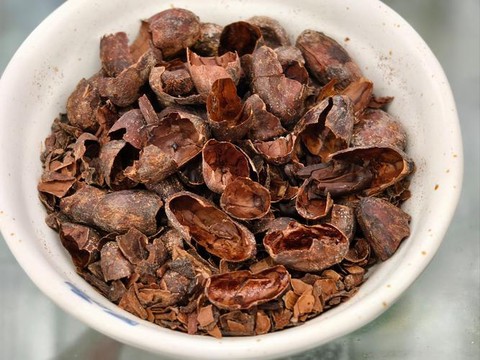 迷你世界可可豆是什么[图2]