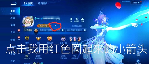 王者荣耀性别怎么没了[图2]